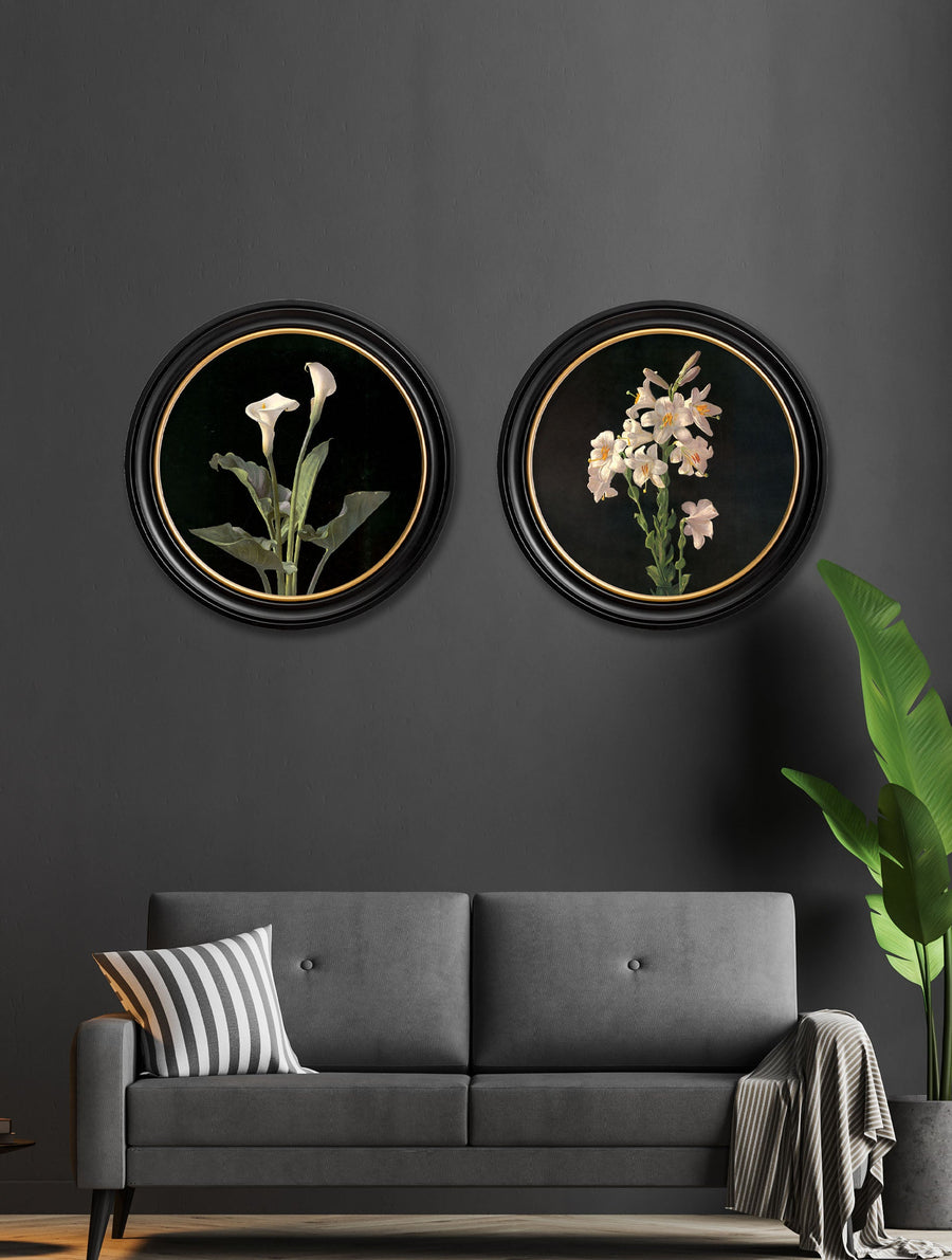 Lambdin Lillys - Round Frame