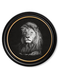 Lion - Miola