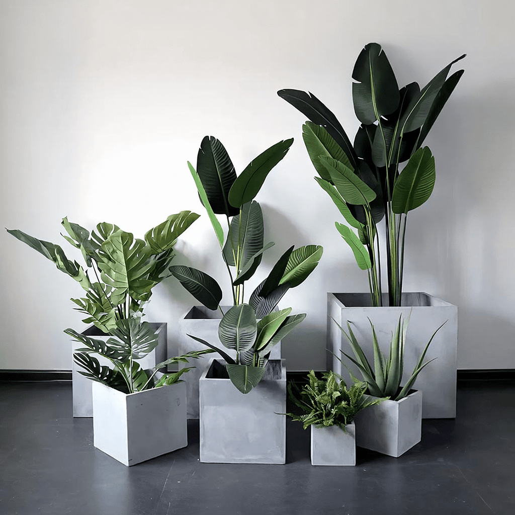 MI50 Plant Stands, More Size Available - Miola