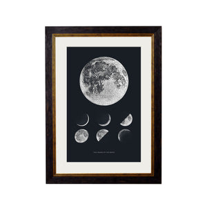 Phases of the Moon