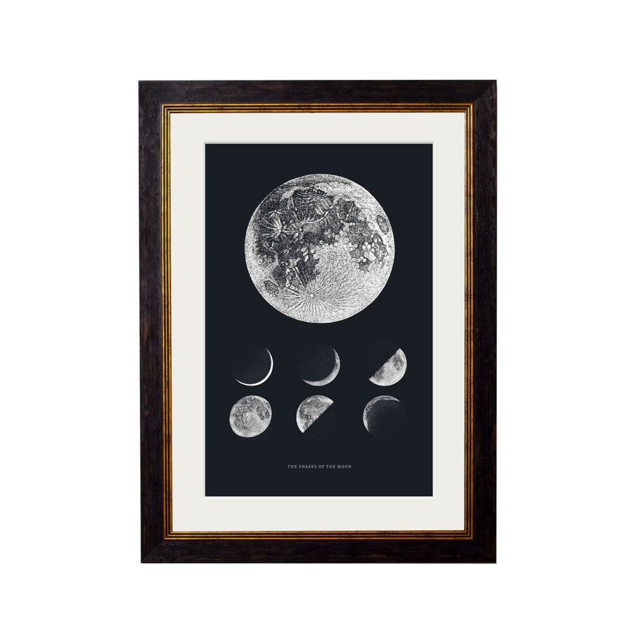Phases of the Moon
