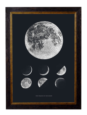 Phases of the Moon