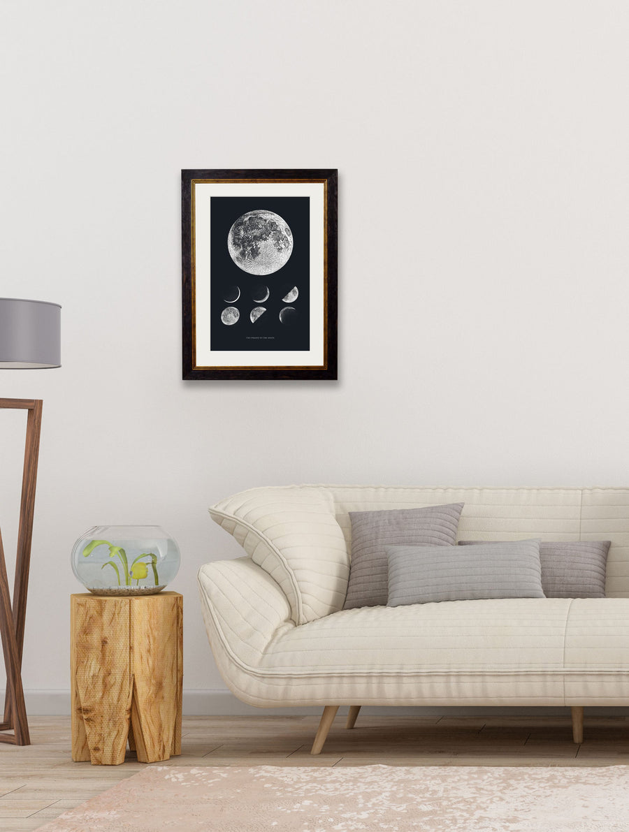 Phases of the Moon