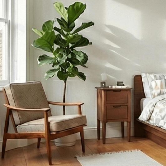 Norway Narrow Dark Walnut Bedside Table - Miola