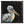Load image into Gallery viewer, Pelican Print &#39;Pierre&#39;
