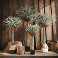 RG93 Artificial Plant - Miola