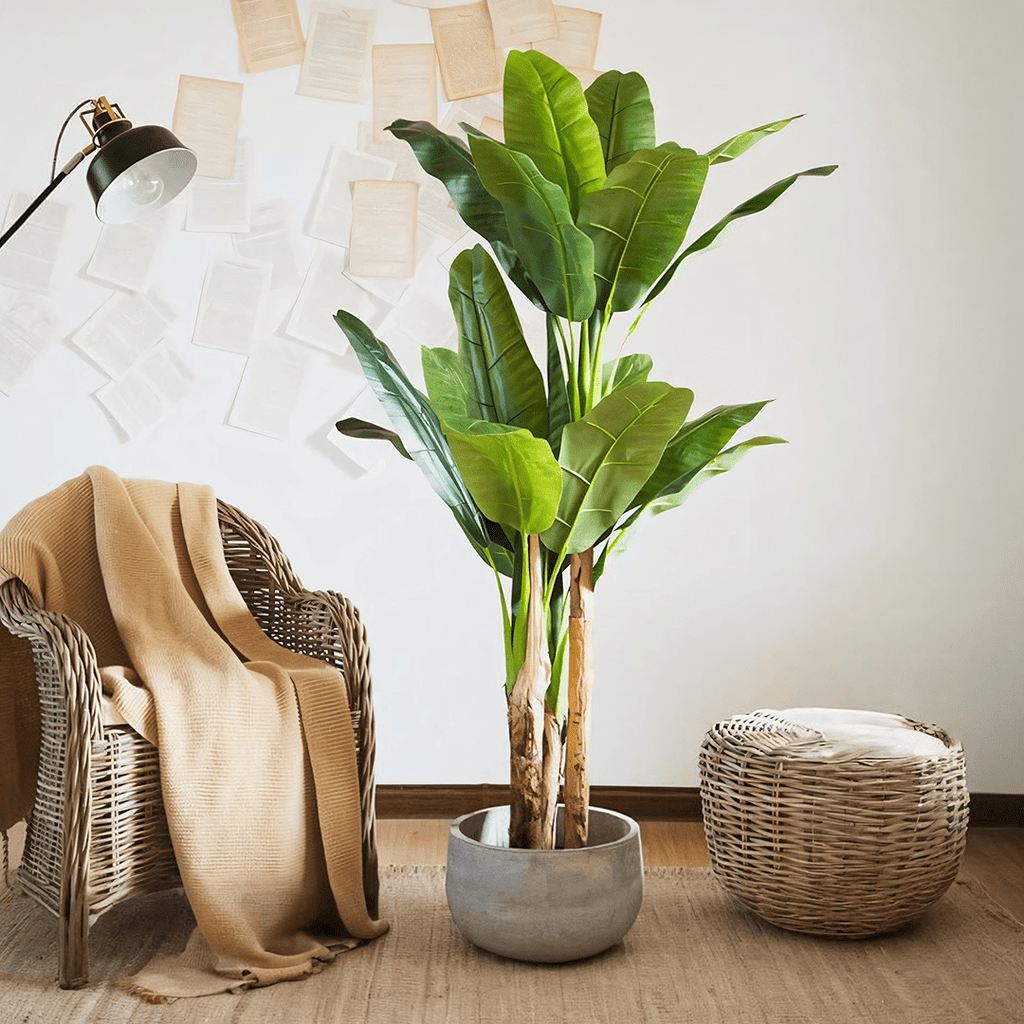 TU14 Artificial Plant - Miola