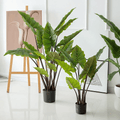 TU19 Artificial Plant - Miola