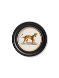 Lion & Lioness - Miola