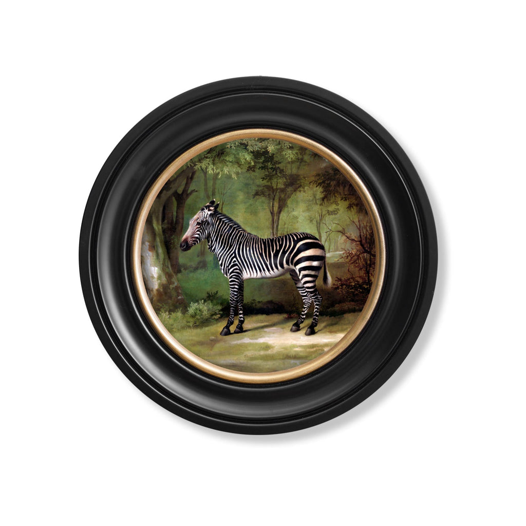 George Stubb's Zebra