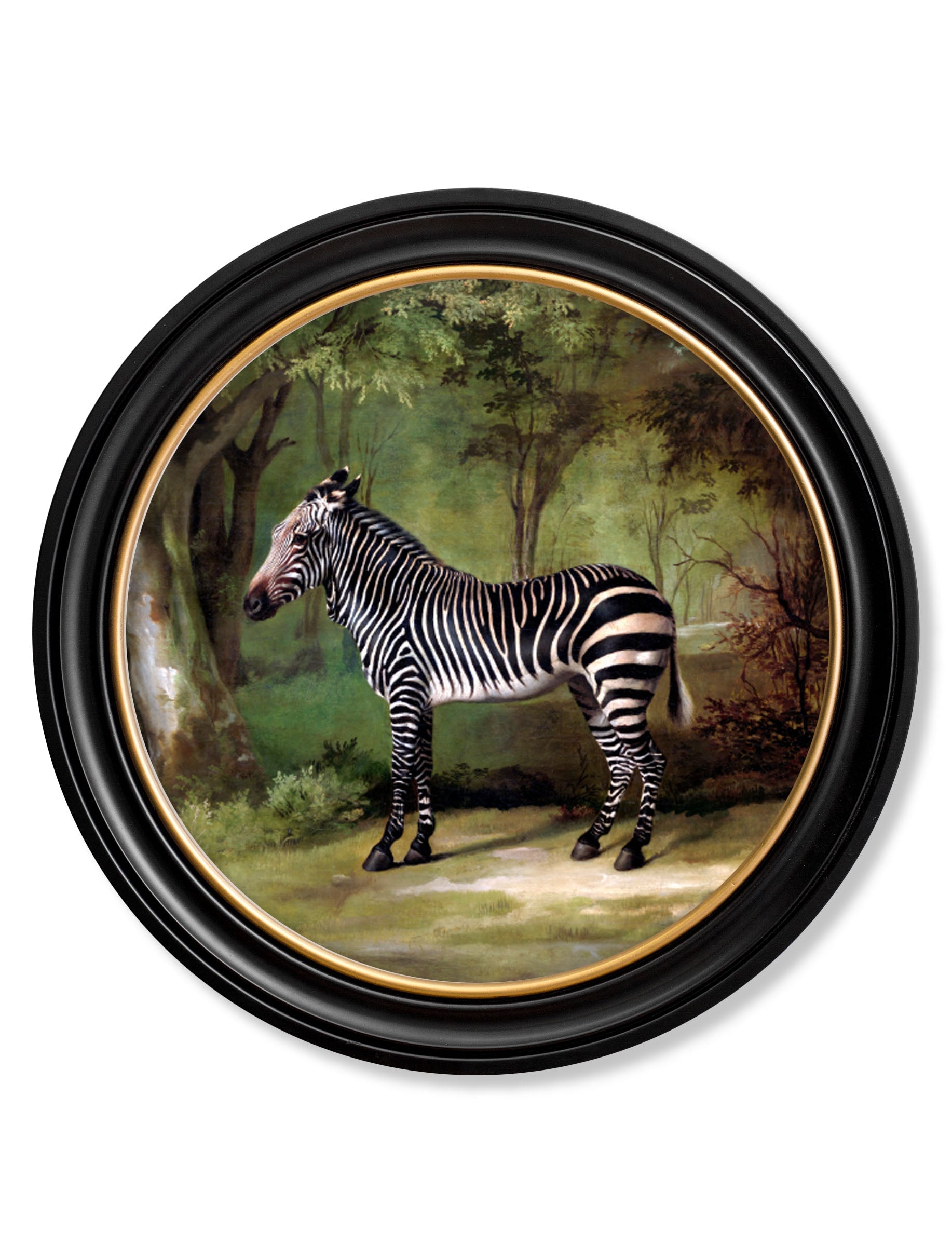 George Stubb's Zebra