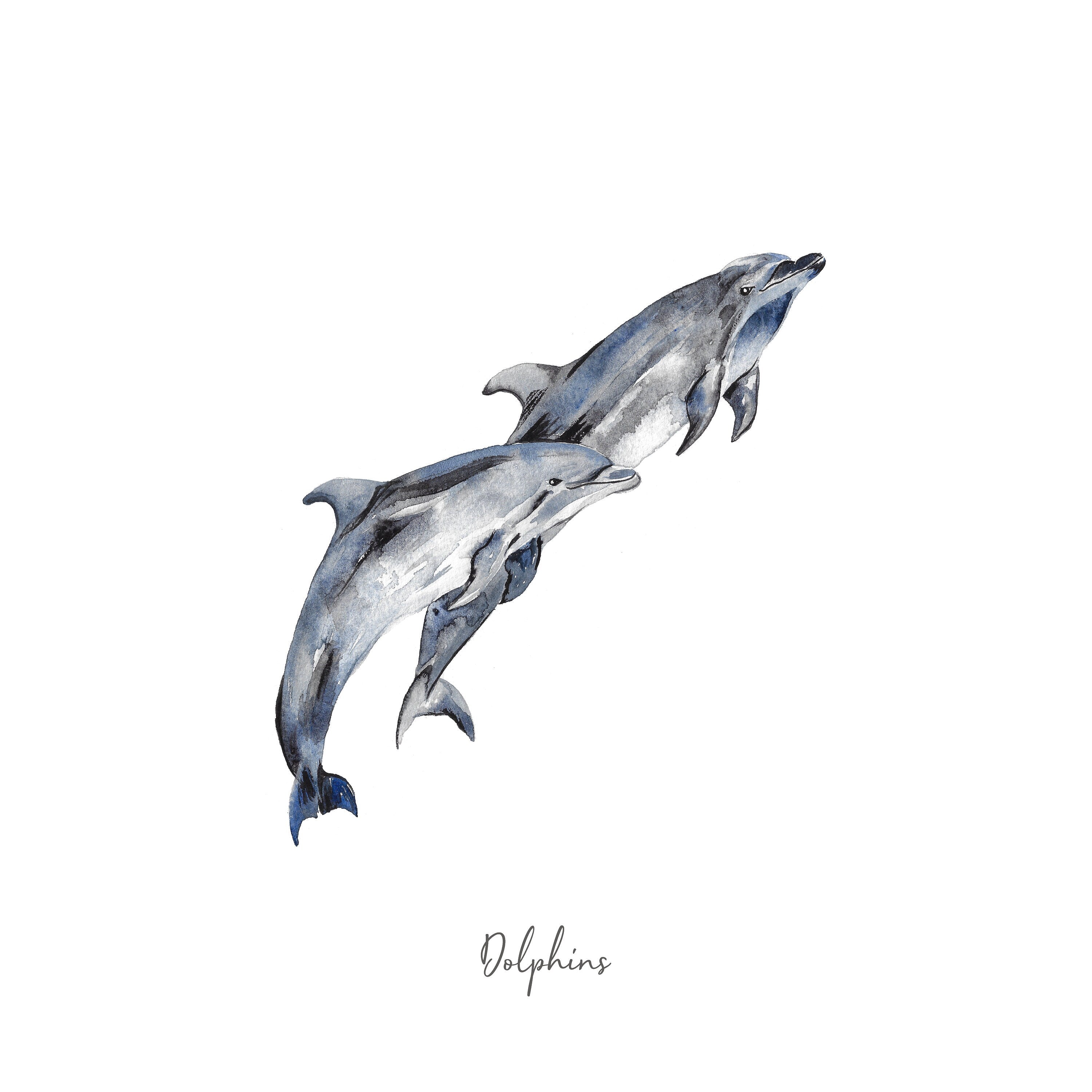 Personalised Dolphins Watercolour Fine Art Print