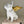 Load image into Gallery viewer, Angel White &amp; Gold French Bull Dog Decorative Ornament
