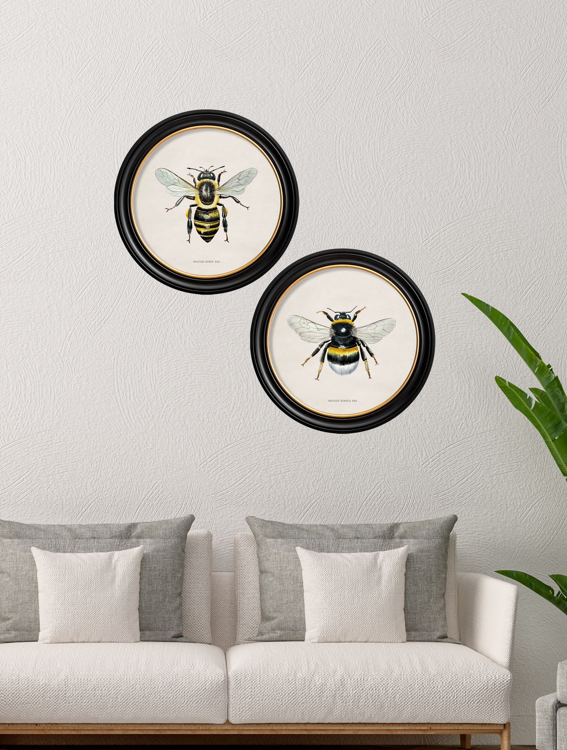 British Bees