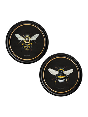 British Bees
