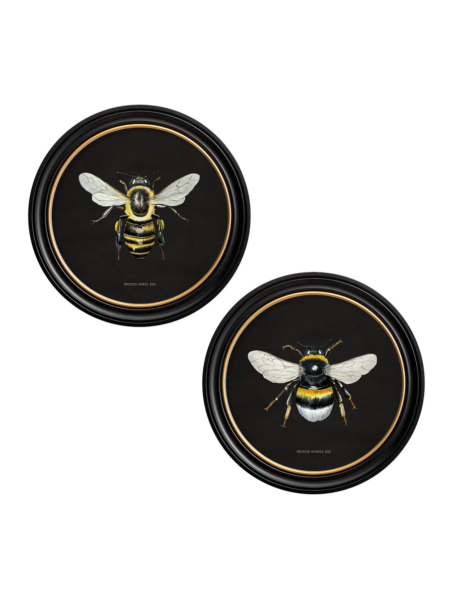 British Bees