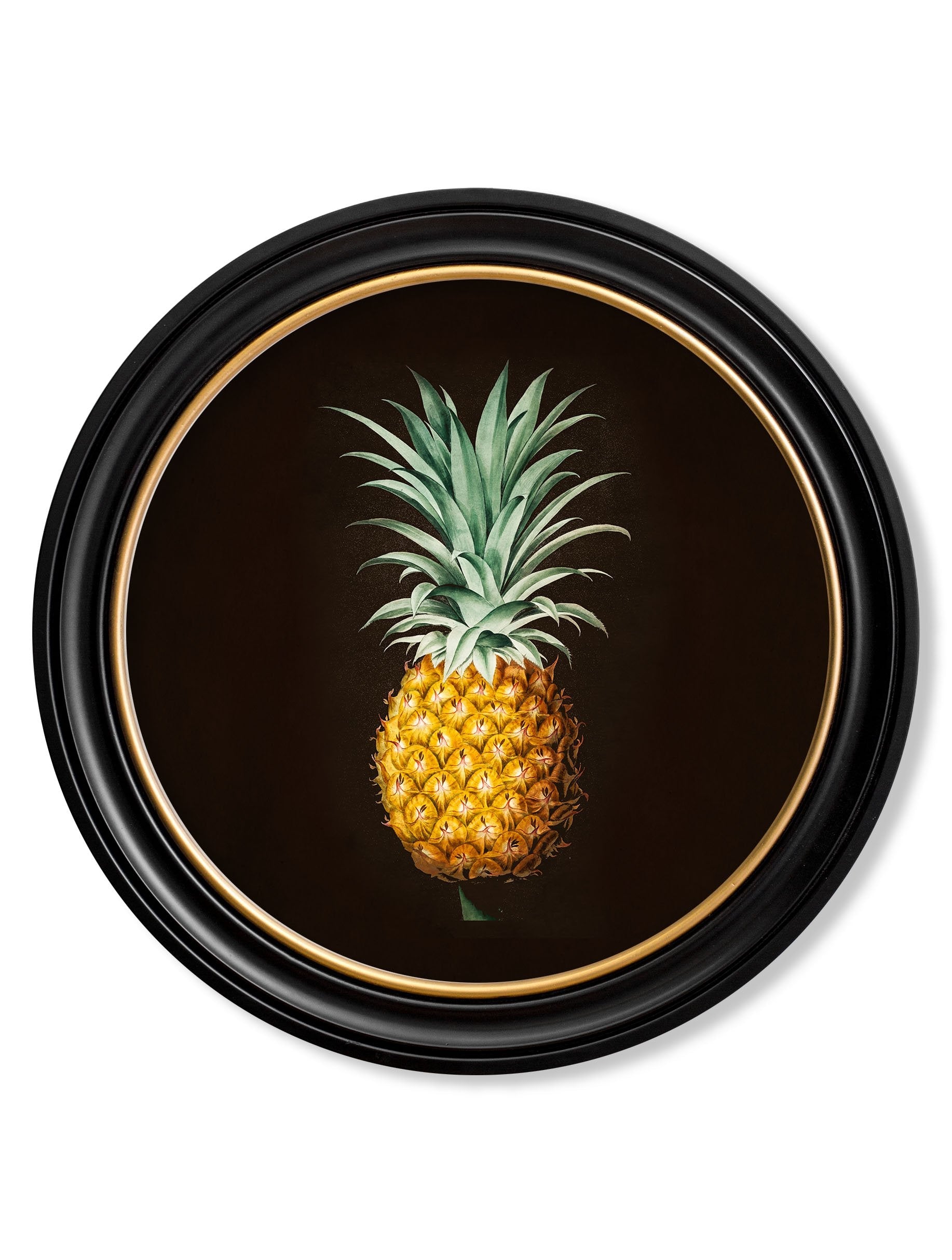 Pineapple Study - Round Frame - The Weird & Wonderful