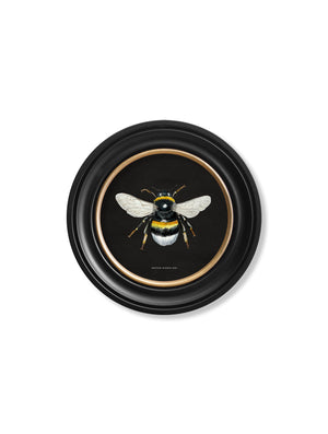 British Bees