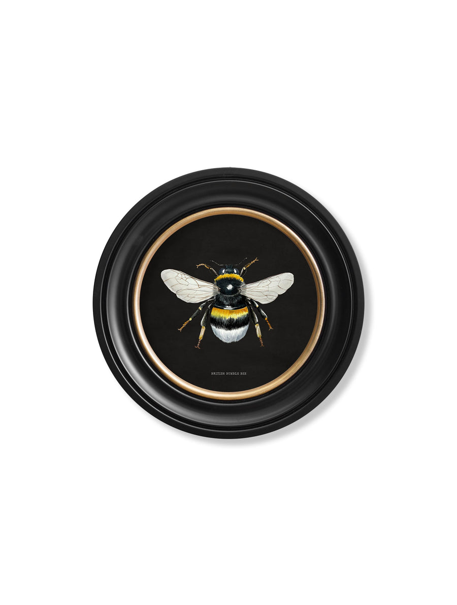 British Bees
