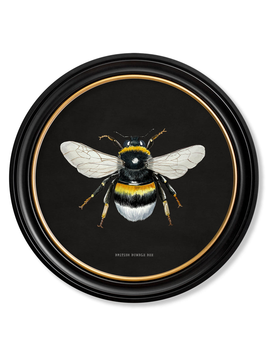 British Bees