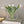 Load image into Gallery viewer, Bubbled Glass Decorative Handbag Vase
