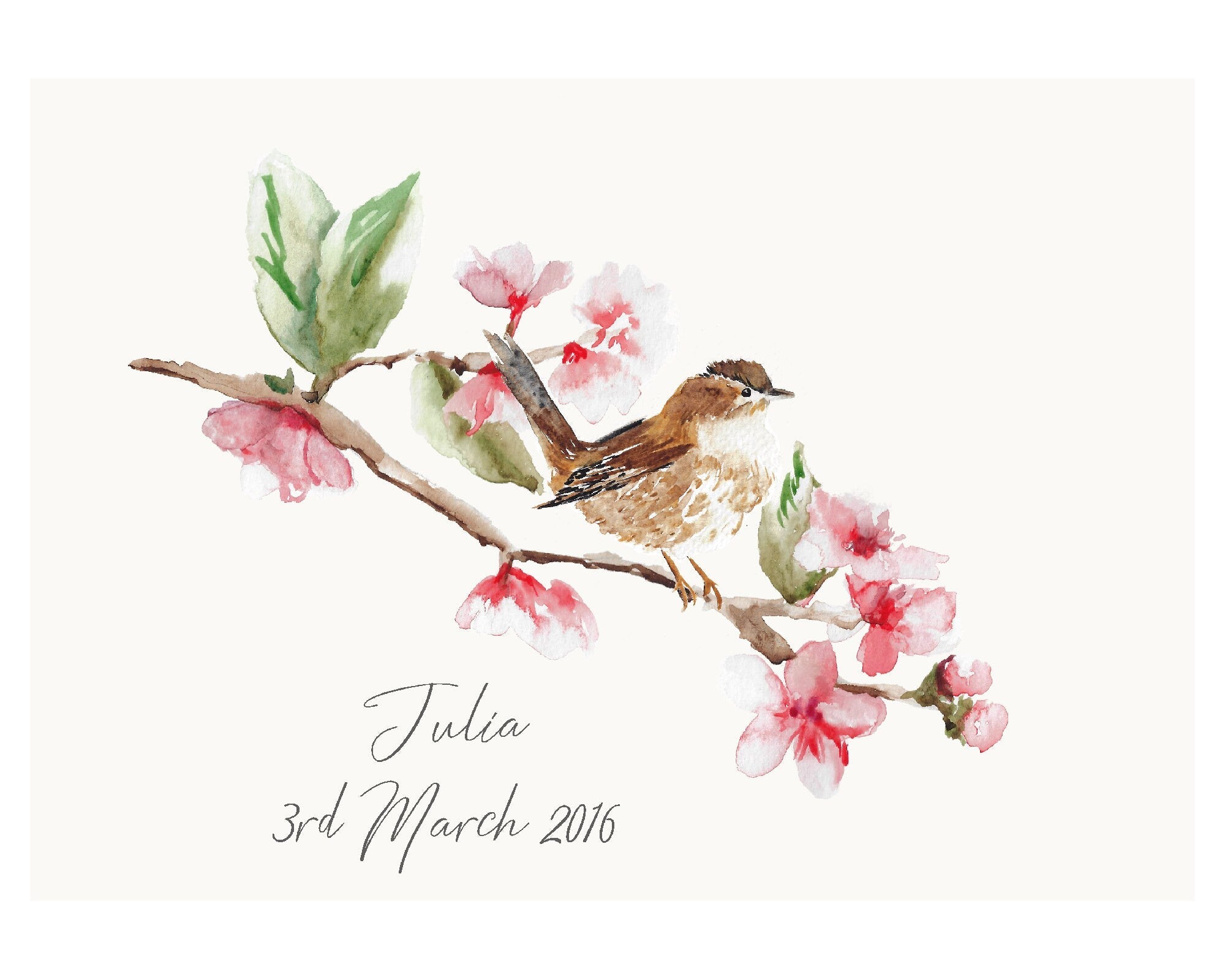 Wren British Garden Bird Personalised Print