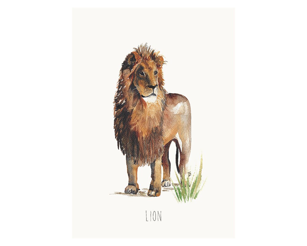 Watercolour Lion Fine Art Print