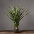 Decoration: Artificial Plant - Miola