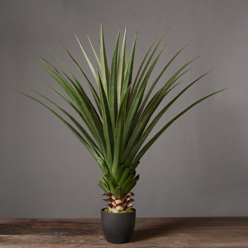 Decoration: Artificial Plant - Miola