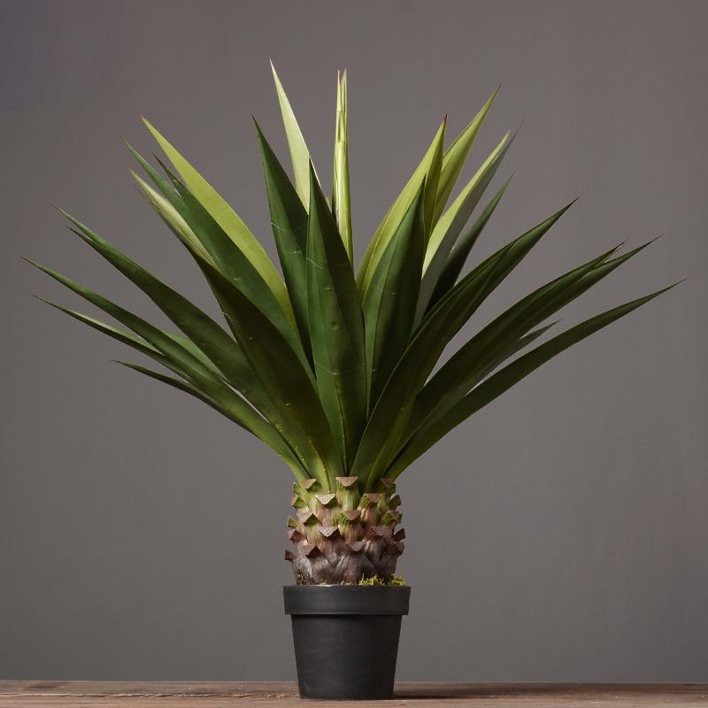 Decoration: Artificial Plant - Miola