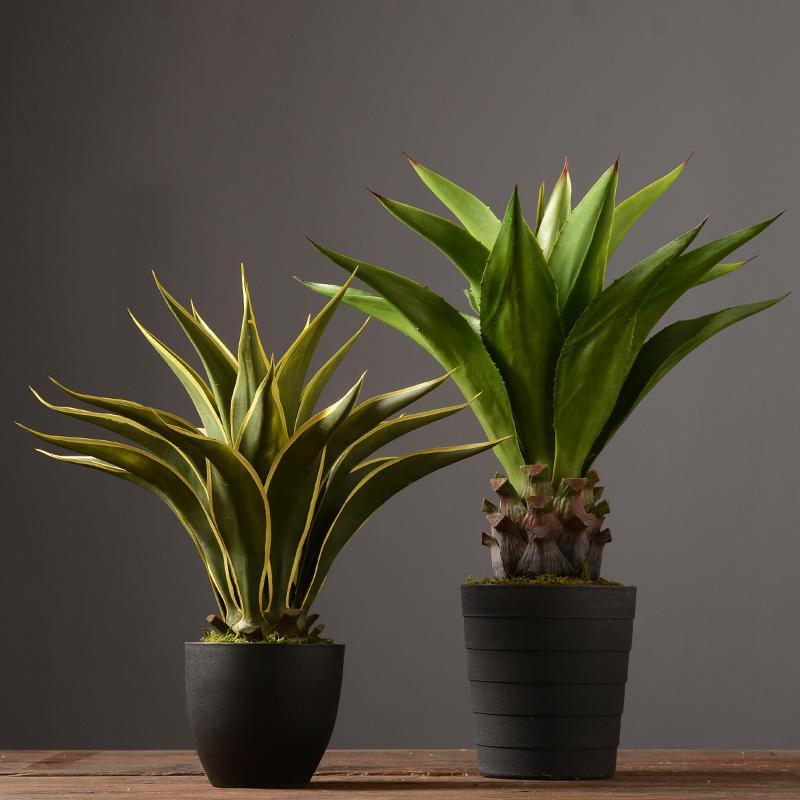 Decoration: Artificial Plant - Miola
