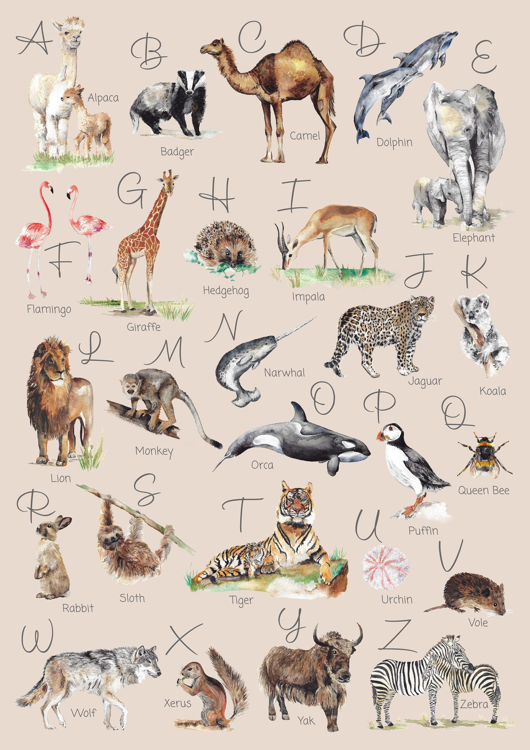 Animal Alphabet Children's Wall Print