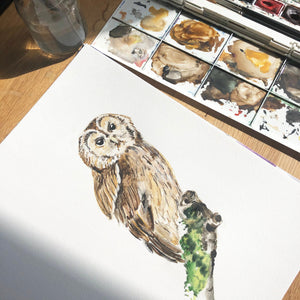 Forest Animals Watercolour Name Print