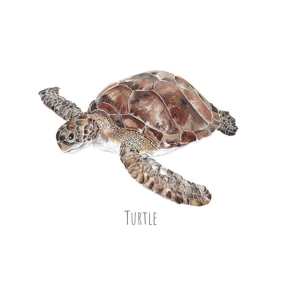 Turtle - Personalised Watercolour Fine Art Print