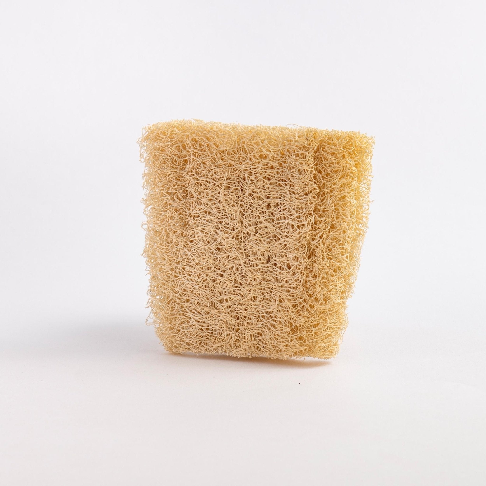 Natural Loofah Dishwashing Sponges - Set of 3 - Miola