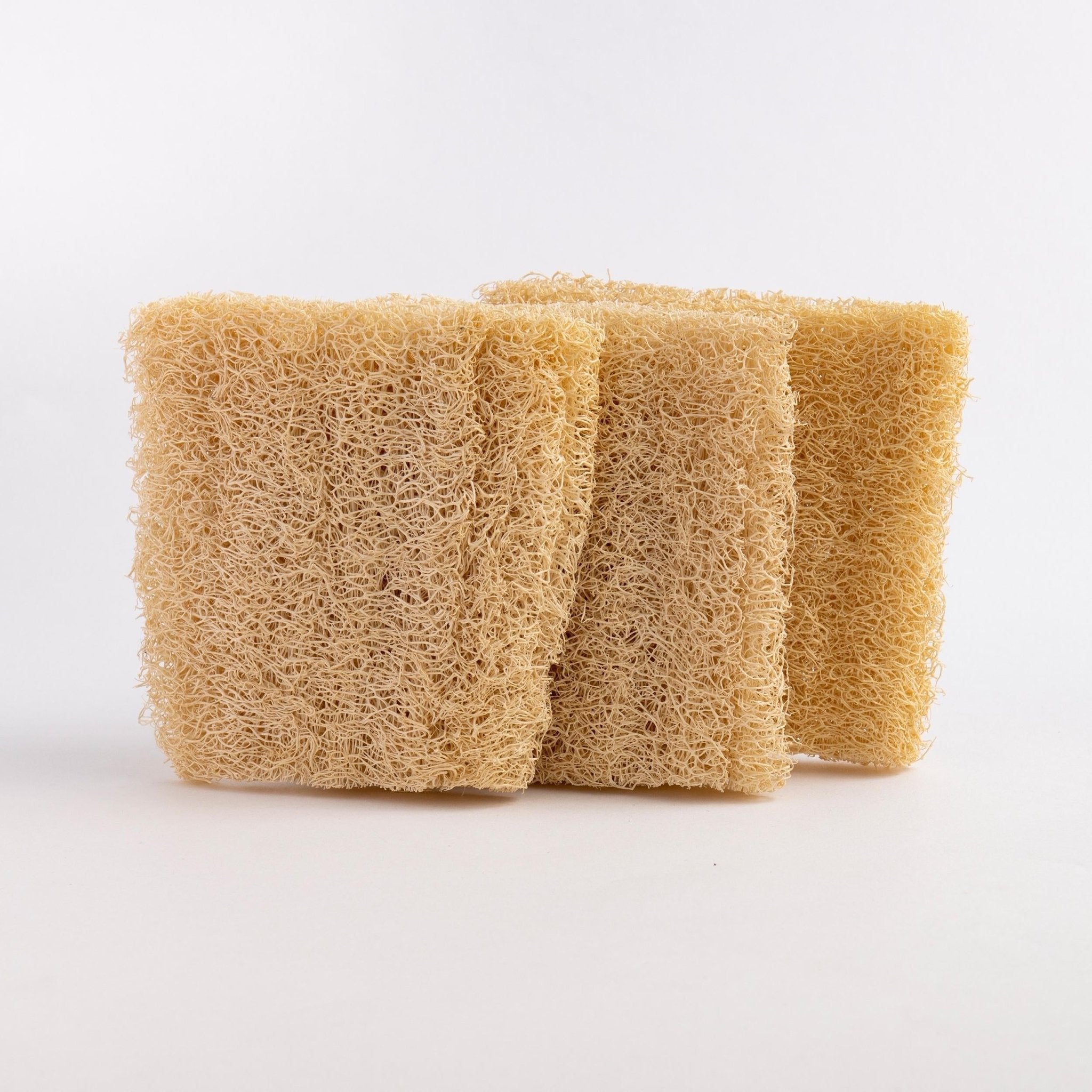 Natural Loofah Dishwashing Sponges - Set of 3 - Miola