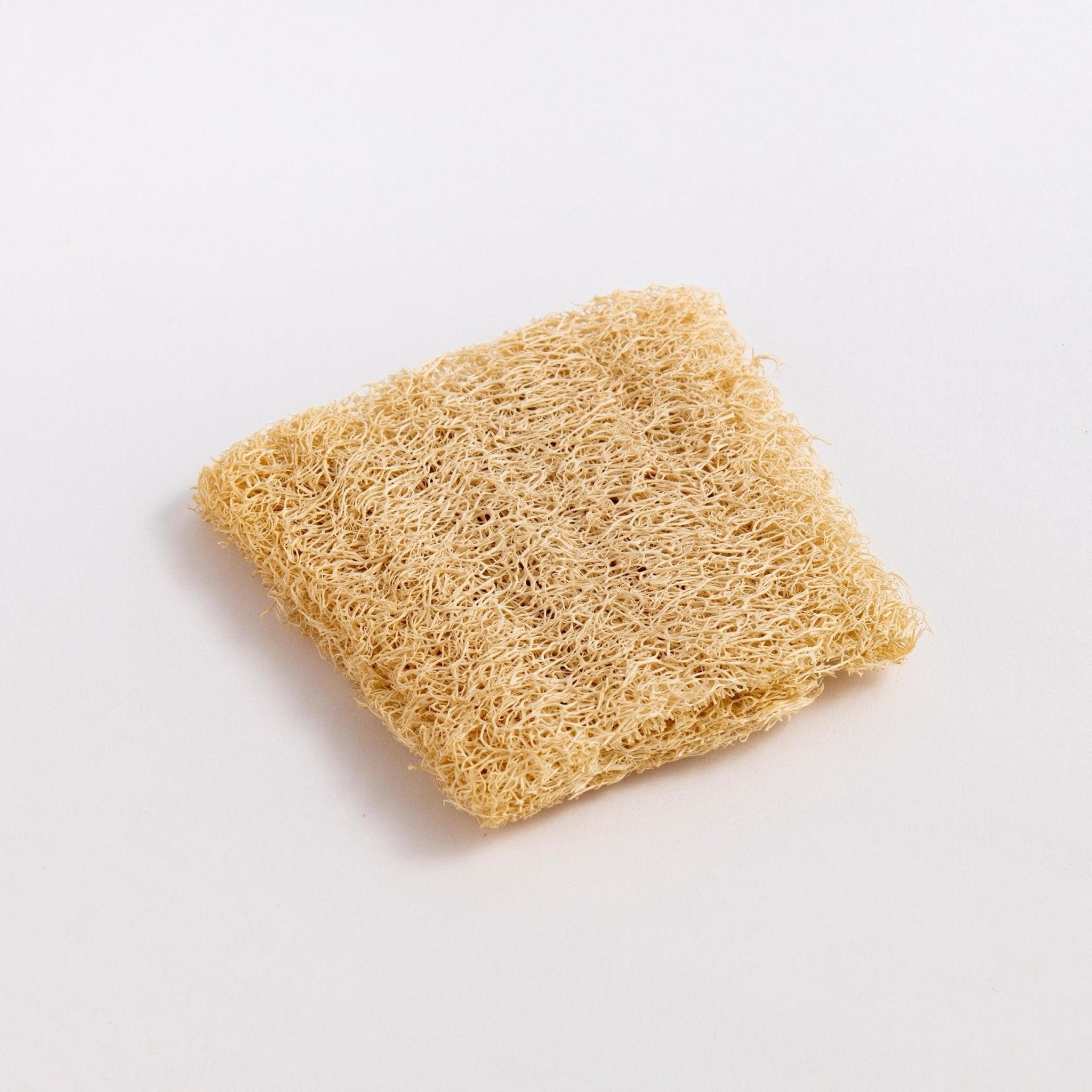 Natural Loofah Dishwashing Sponges - Set of 3 - Miola