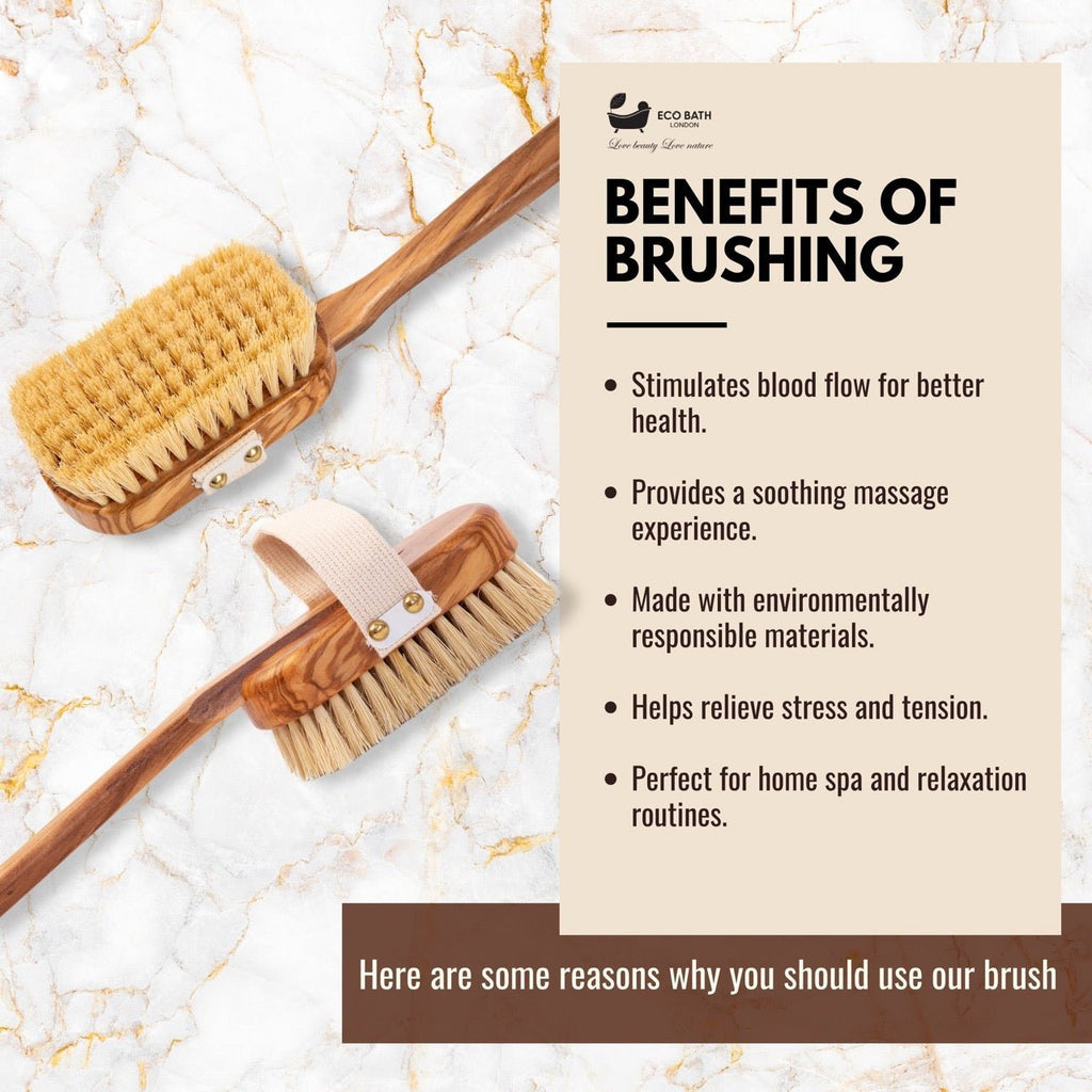 Luxury Natural Sisal Olive Wood Body Brush - the Ultimate Dry Brushing Body Brus - Miola