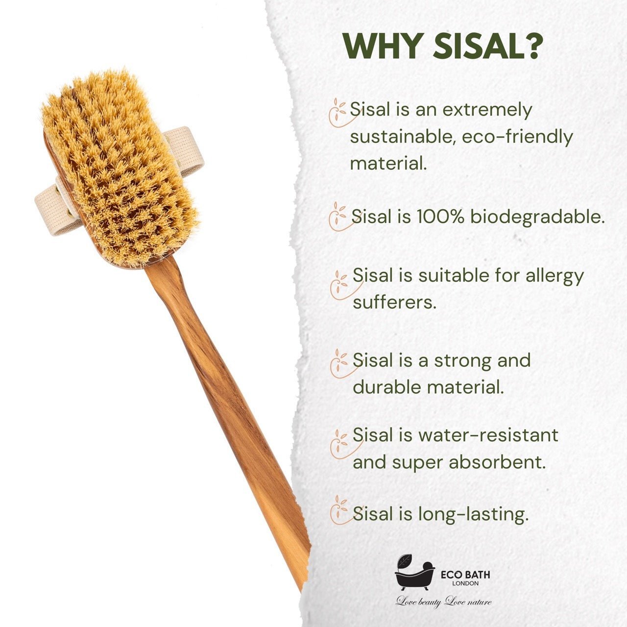 Luxury Natural Sisal Olive Wood Body Brush - the Ultimate Dry Brushing Body Brus - Miola