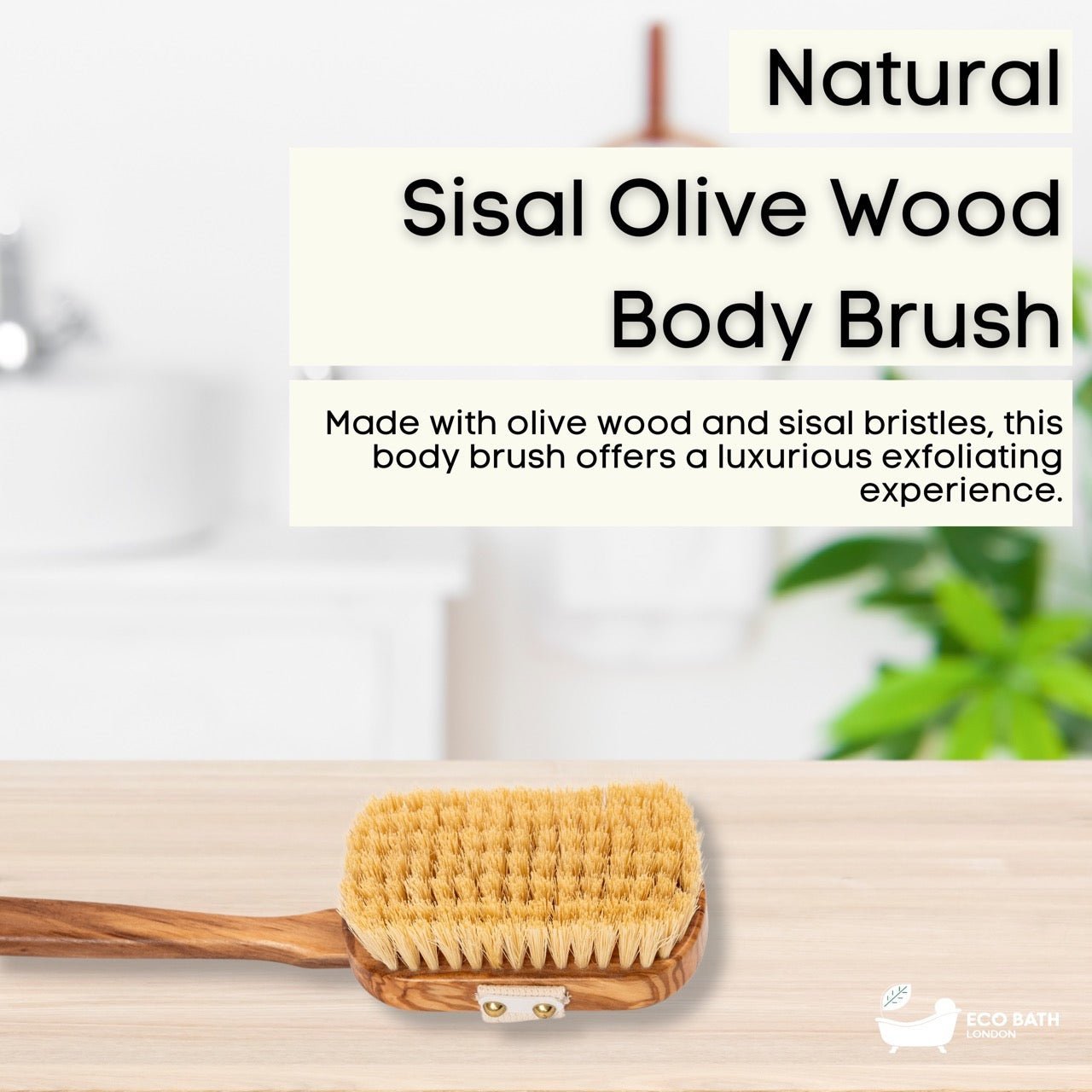 Luxury Natural Sisal Olive Wood Body Brush - the Ultimate Dry Brushing Body Brus - Miola