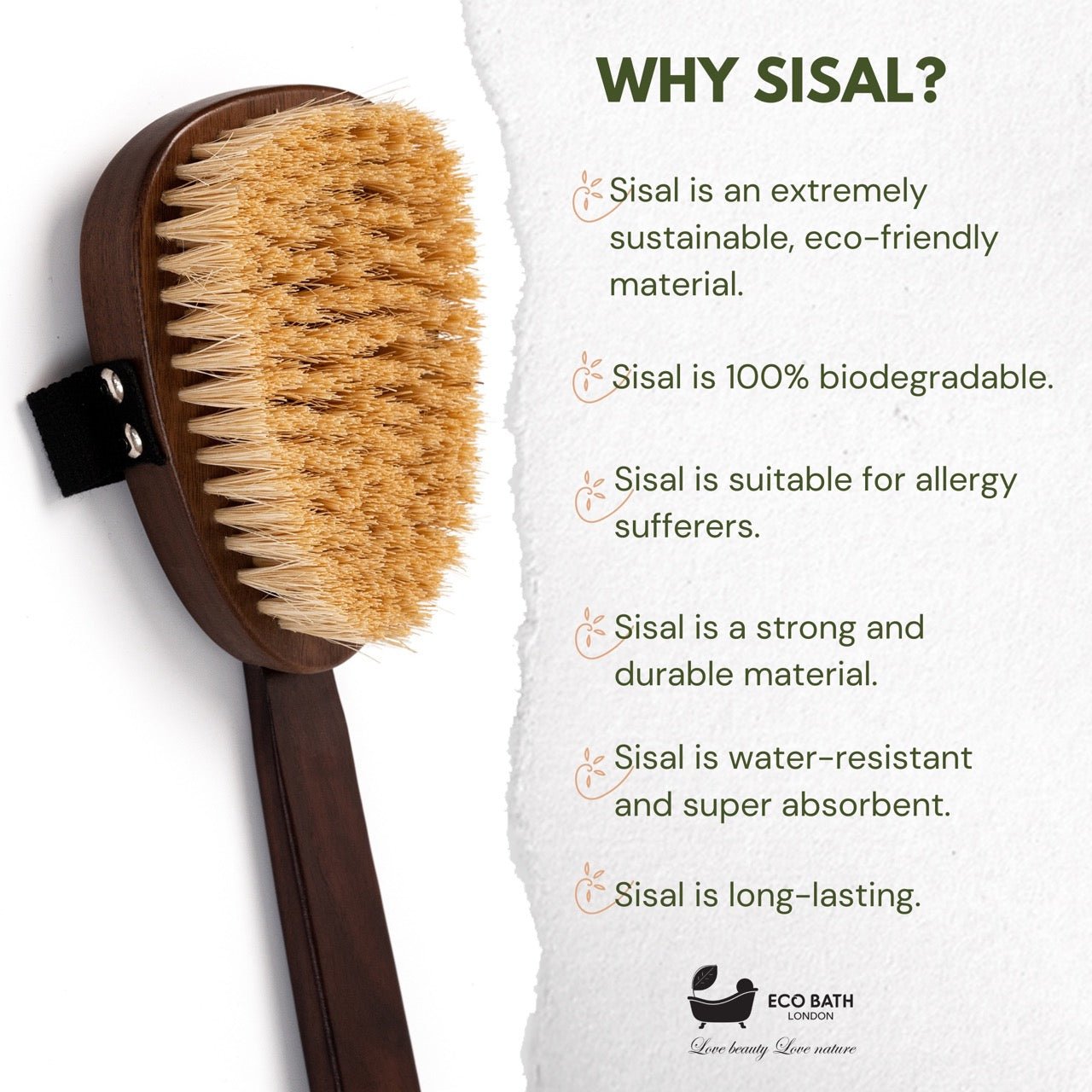 Natural Sisal Walnut Wood Body Brush - Luxurious Dry Brushing Body Brush - Miola