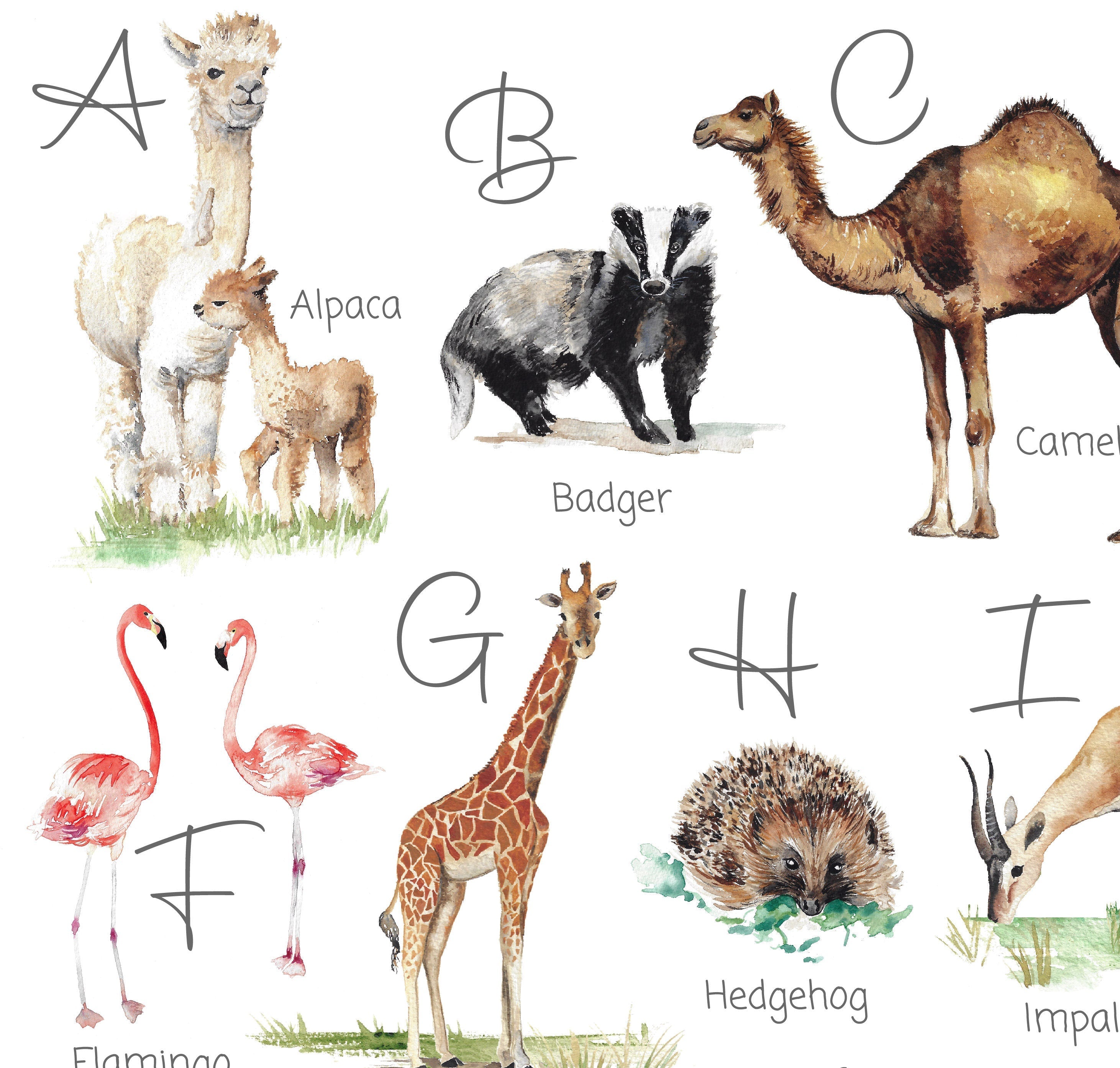 Animal Alphabet Children's Wall Print