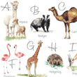 Load image into Gallery viewer, Animal Alphabet Children&#39;s Wall Print
