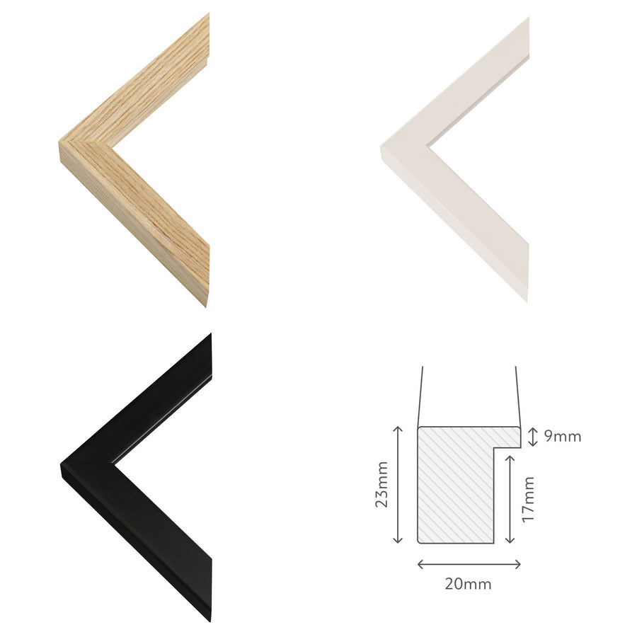 Watercolour Lion Fine Art Print