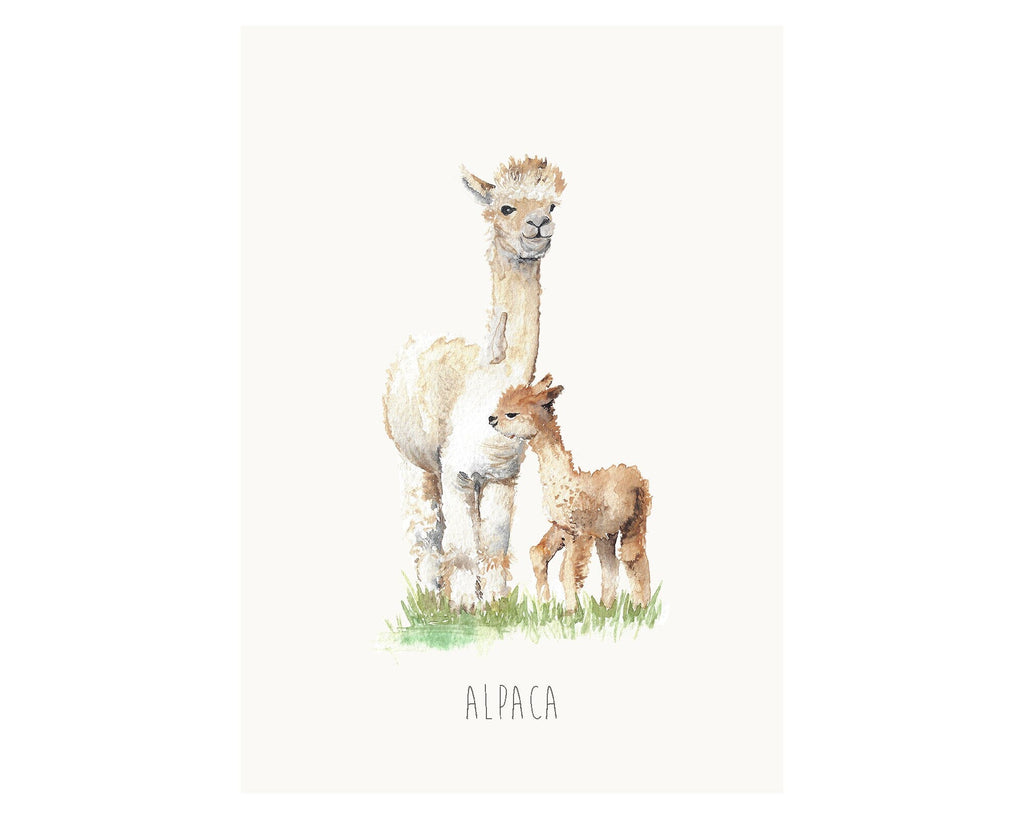 Personalised Alpaca Watercolour Art Print