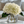 Load image into Gallery viewer, Hydrangeas Floral Arrangement in Square Glass Vase
