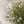Load image into Gallery viewer, Faux White Gypsophila Bunch of Flowers
