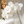 Load image into Gallery viewer, Faux White Orchid Single Stem Floral
