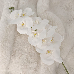 Faux White Orchid Single Stem Floral
