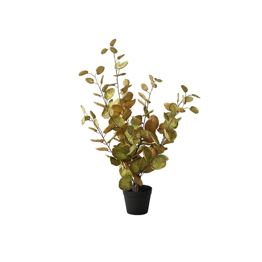 FD2 Artificial Plant - Miola